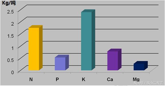 采果后使用什么肥,果园施有机肥正确方法