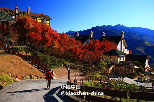 台湾清境农场，这里才是真正的清静之地！