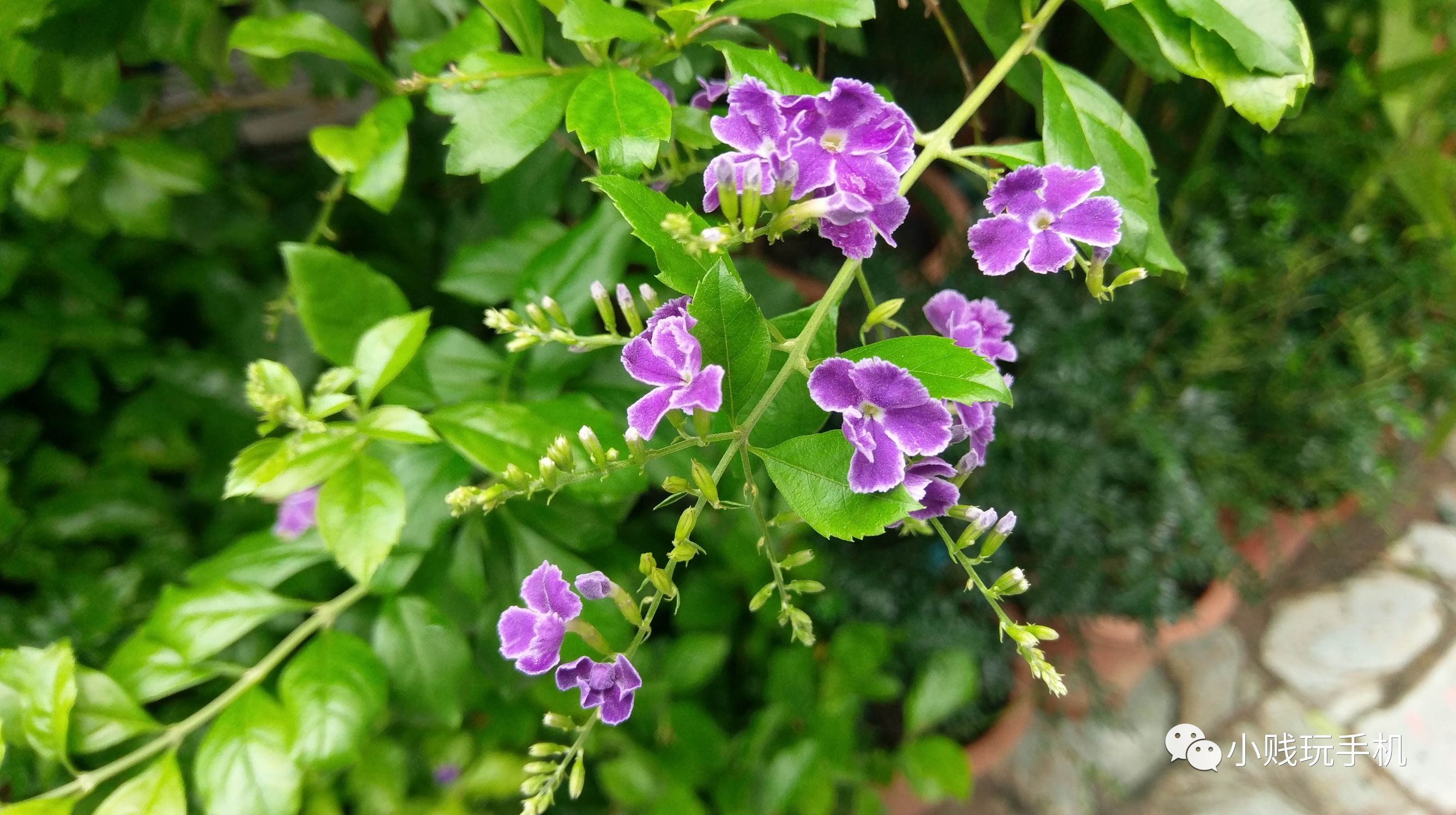 htc10怎么样,htc10测评