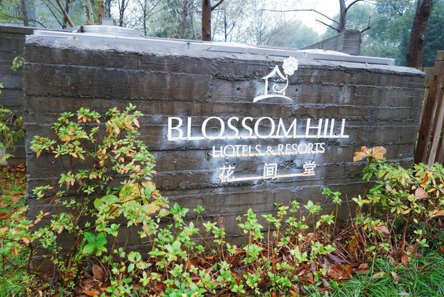 我和玛莎拉蒂的故事,我与玛莎拉蒂的故事