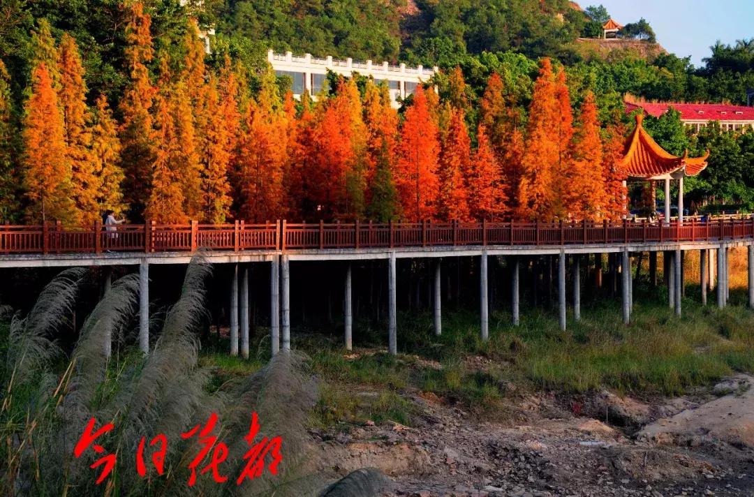 花都芙蓉嶂旅游景点,花都芙蓉嶂夜景