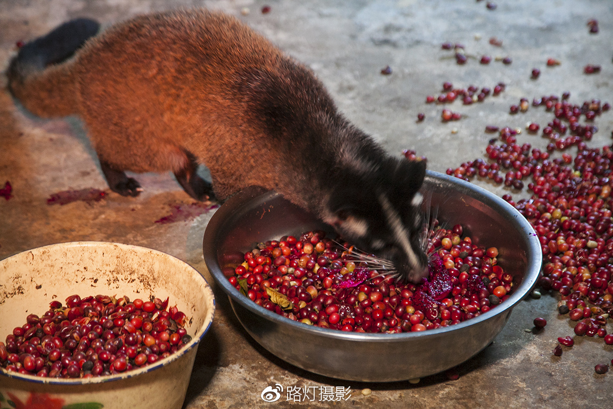把喜欢的事做到极致诗句,能把喜欢的事做好