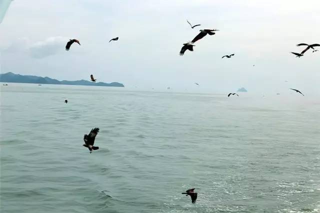 小桂林普吉岛旅游攻略,普吉岛竹筏漂流小桂林