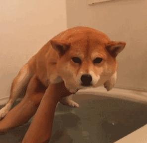 最有男人味的男明星彭于晏,除了南柱赫还有啥