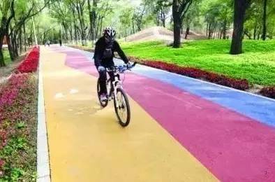 沈阳最漂亮的十大美人,沈阳女孩最漂亮的照片