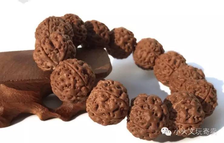 金刚和落地红的图片,金刚落地红视频