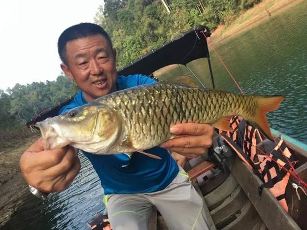 钓鱼探钓达人,钓鱼达人视频海钓