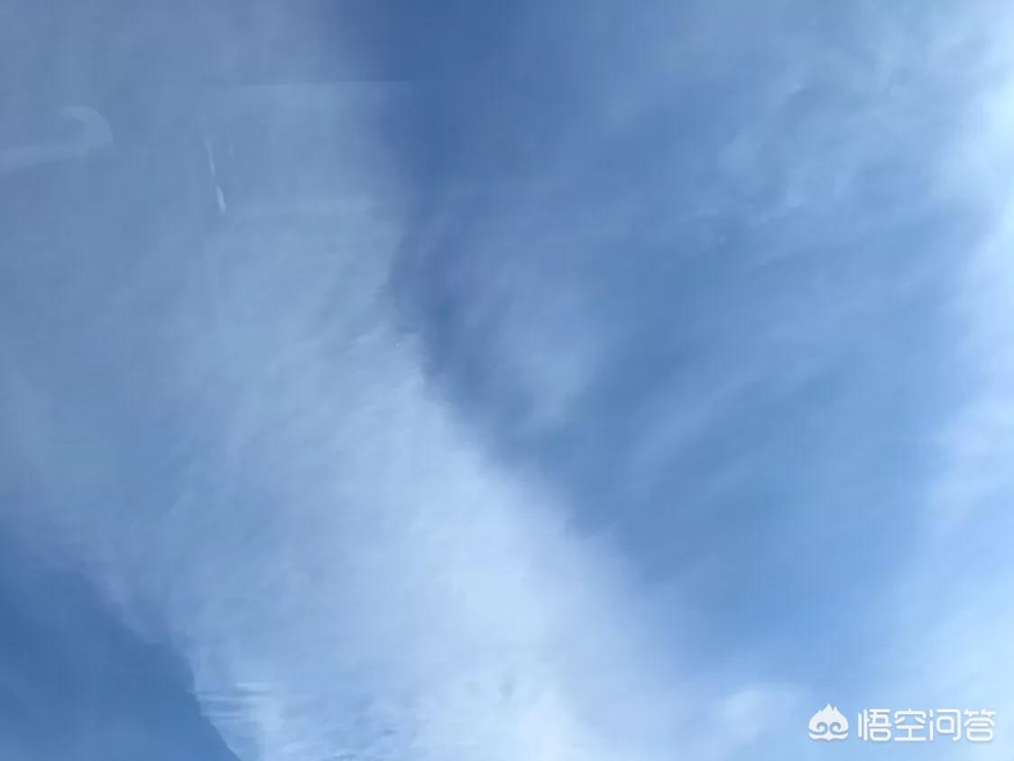 什么自由职业能挣钱养家,做什么自由职业可以月入过万