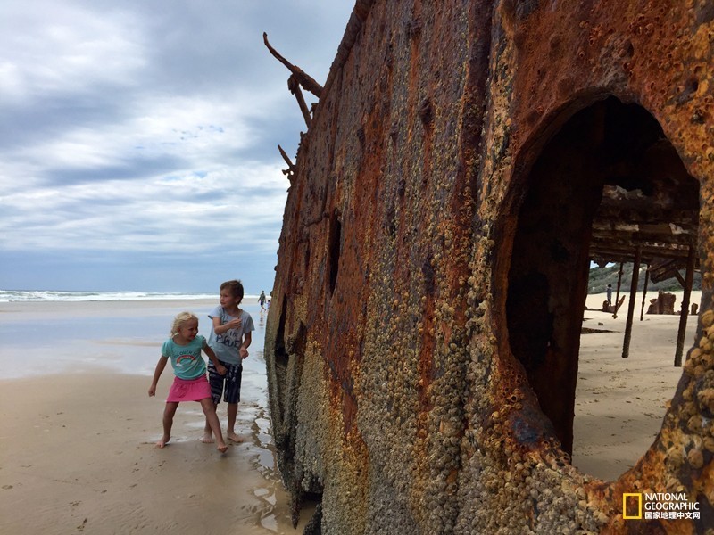 FraserIsland|快来全世界最大的沙岛上撒把野
