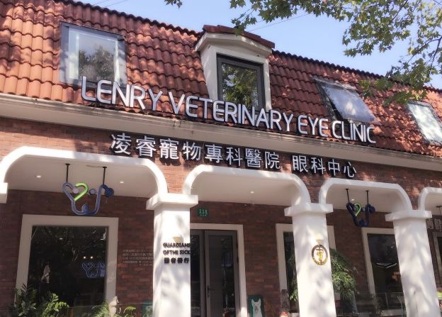 妙手仁心救我狗命锦旗,妙手仁心宠物医院