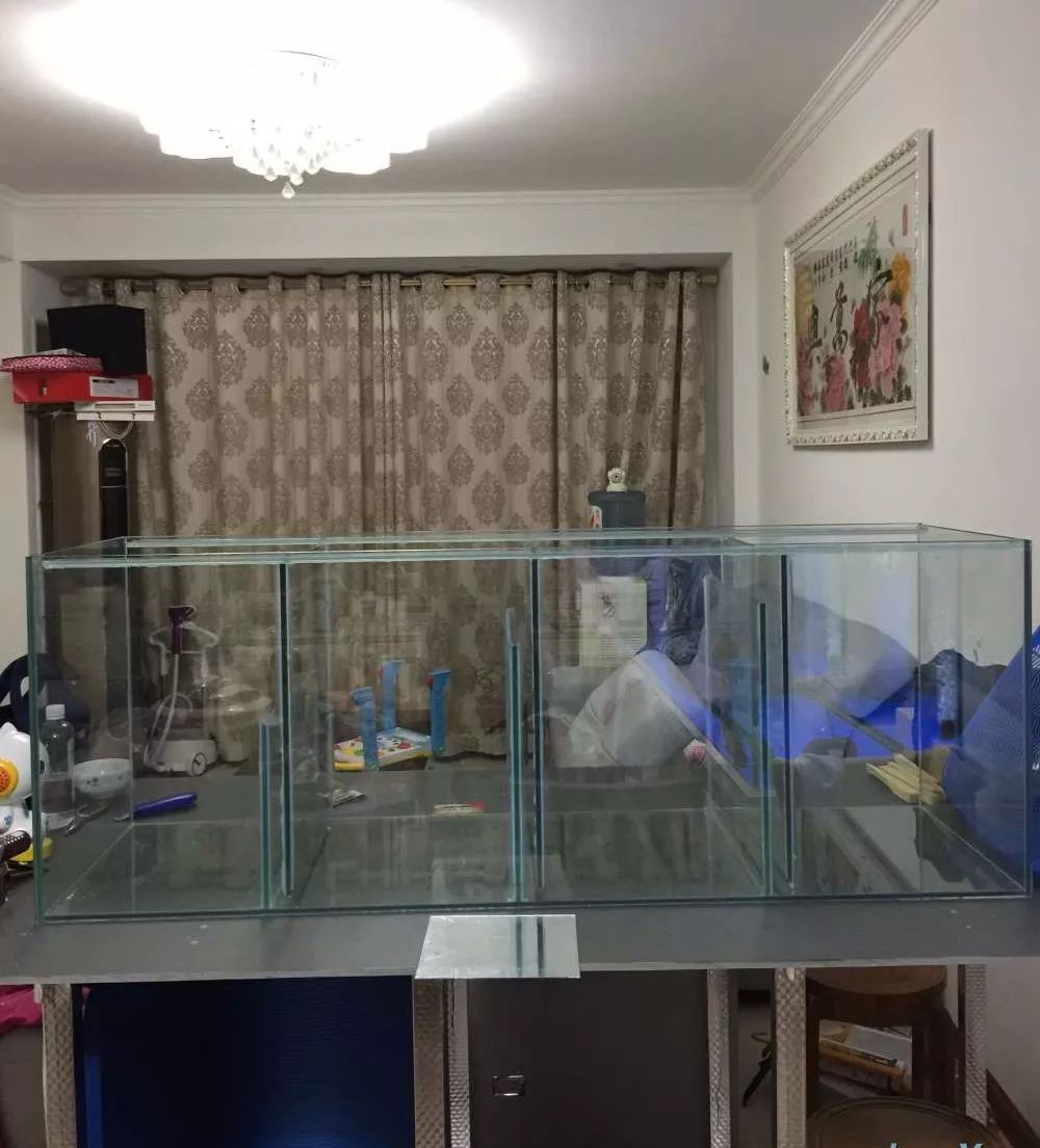 历时4个月，亲手做的缸终于运行！