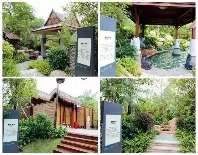 佛山日式温泉推荐,佛山泡汤温泉