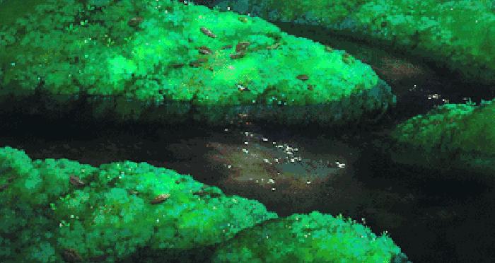 十二星座各种排行大全,十二星座各种排名榜