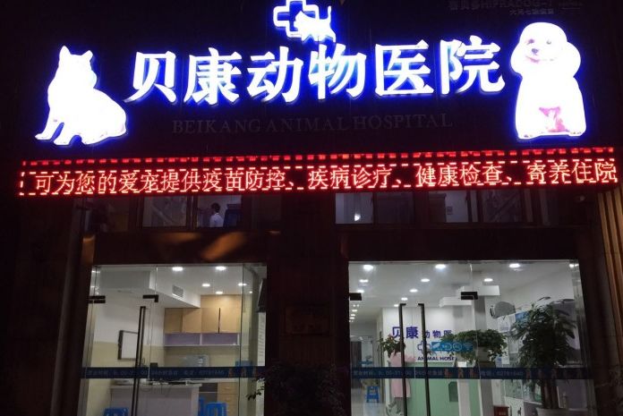 妙手仁心救我狗命锦旗,妙手仁心宠物医院