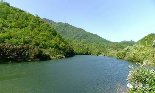 康县的猴头菇,陇南康县特产香菇干