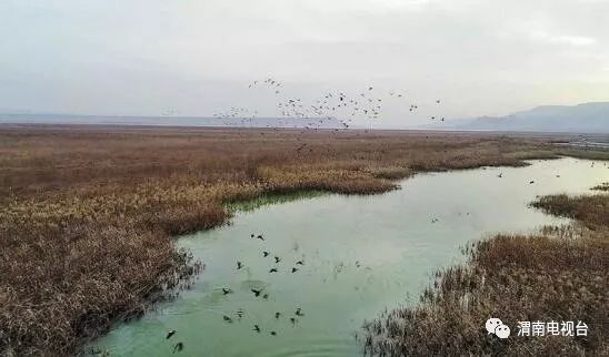 新能源电动汽车充电桩免费投放,集中式电动车充电桩