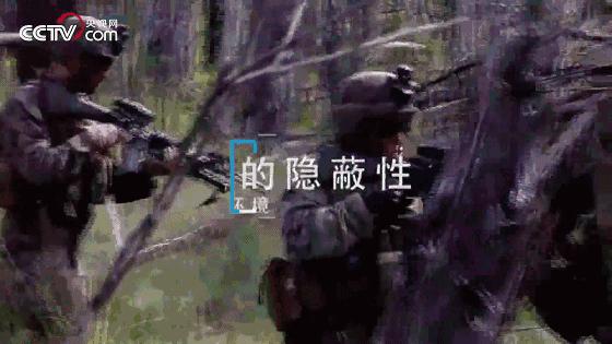 揭秘丛林战场，为什么很多军事行动都发生在丛林区？