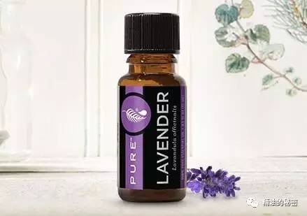 熏衣草精油的神奇功效和妙用,多特瑞薰衣草精油功效