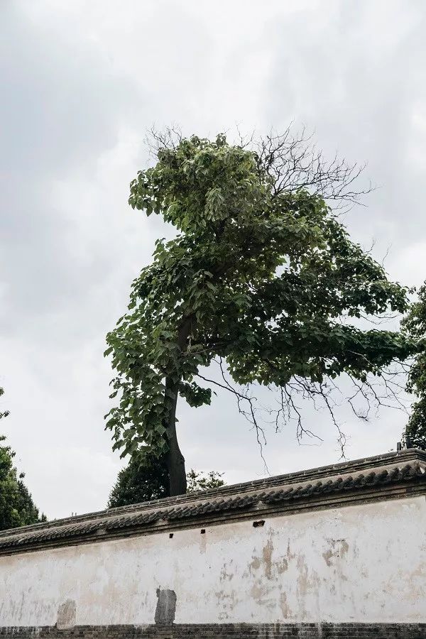 锦州、西安、温州:三位中国设计师从世界回归故乡