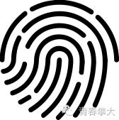 选一款吧！从此攀大就掌握在你手里了！