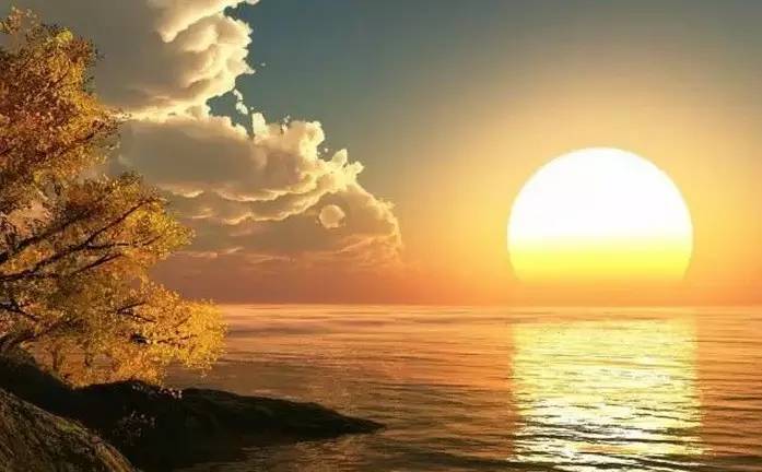 把你的心走过的路，说出来，就是诗啊