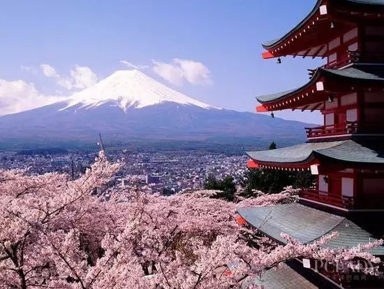 恋与制作人伴你身边,恋与制作人在你身边选谁比较好