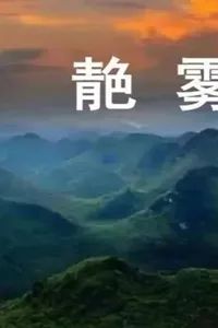 今晚深圳有什么活动,最近深圳周末有什么活动吗