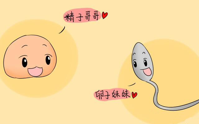 最远的距离不是海角天涯,最远的距离不是千里万里