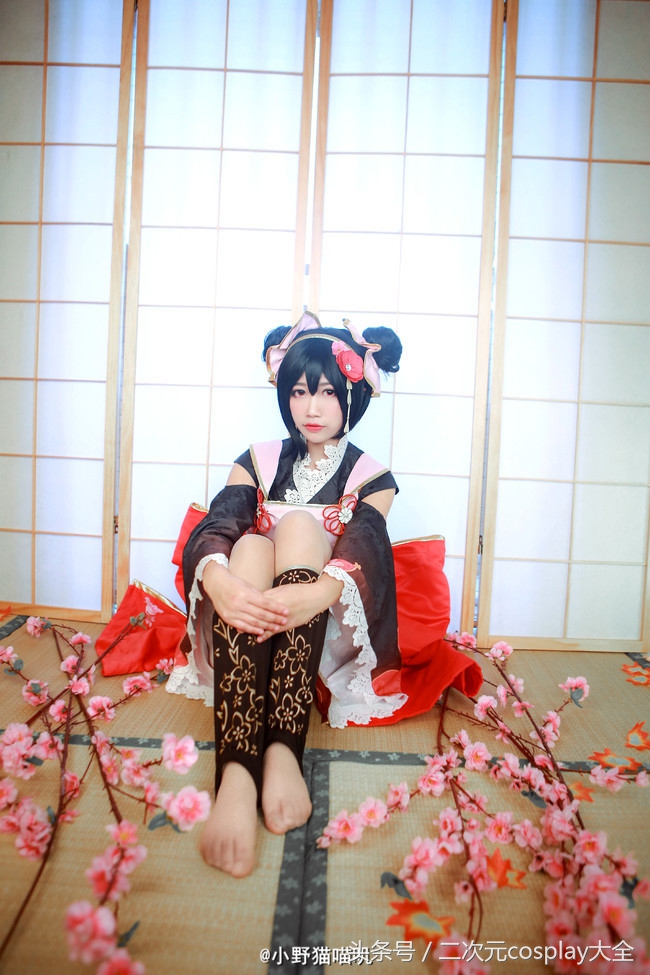 新的一年你是选择看樱花，还是超级可爱的妮可呢？