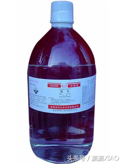 家里有虫鼠出没怎么办，告诉大家几个小妙招