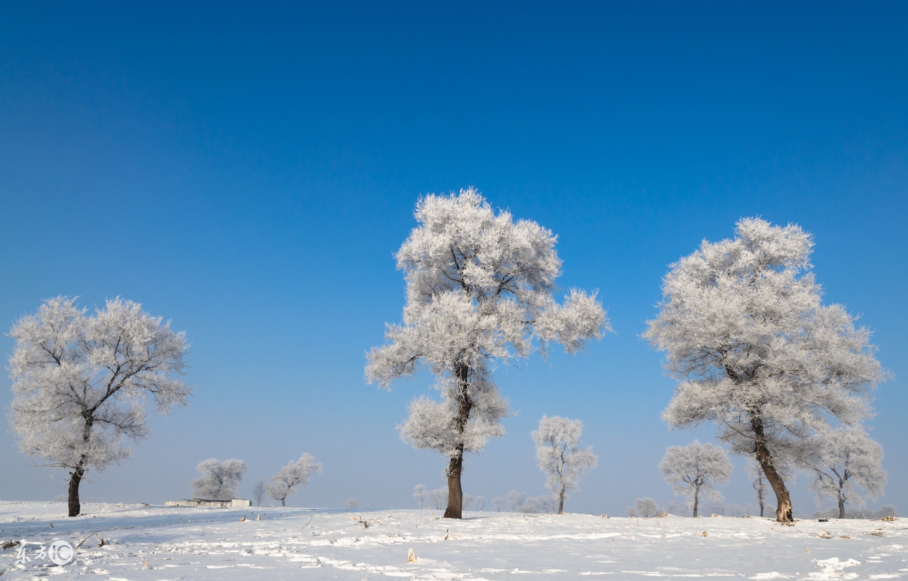 不辞长作新疆人视频,不辞长作故乡人简谱