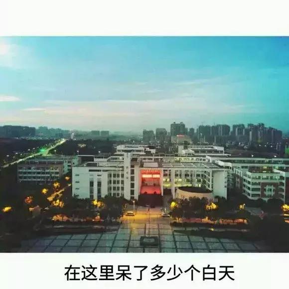 怀念莲塘一中,校园生活莲塘一中