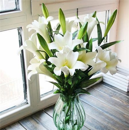 小孩贪玩吃了这个叶子口吐白沫，你家里可能也有！