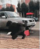 呦呦切克闹英文版,呦呦切克闹原创