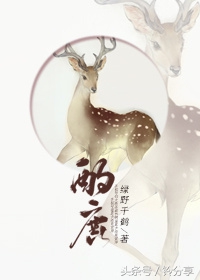 推一些自己看过的觉得好看的小说,十部必看的纯爱小说