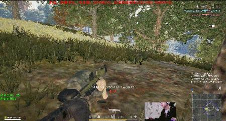 实力如何？锤开先锋UP主仓鼠联手无风挑战双排，吃一次鸡赚一千