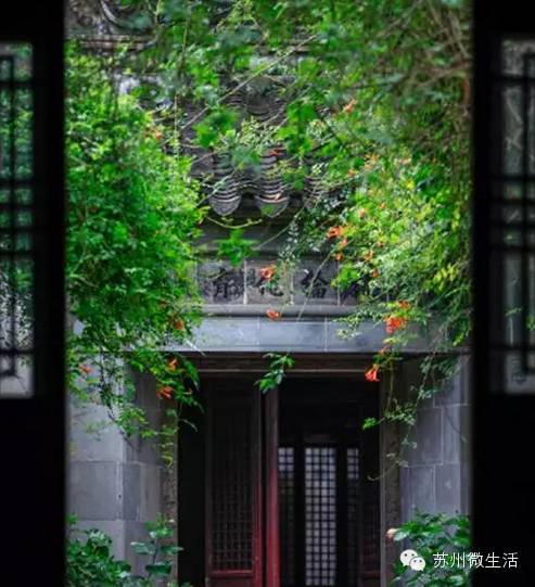 苏州美食商业街排名,苏州美食街区有哪些