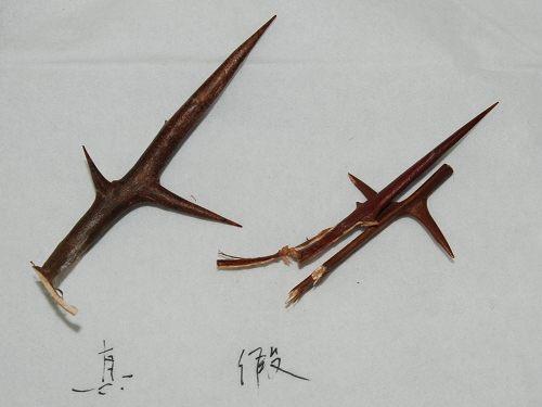 中药材造假猖獗，火眼金睛识别假中药