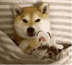 用过才知道好的产品,用过平价好用的护肤品