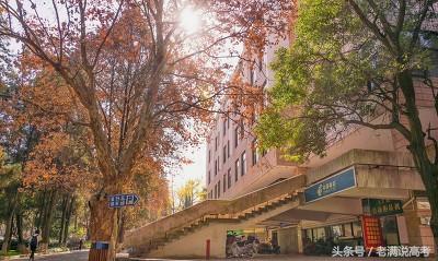 作为云南省唯一的一所211大学，云南大学有何特色？