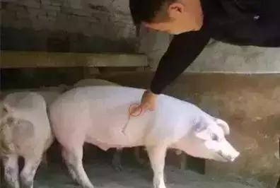 穴位治病大全20招,穴位疗法十大手法