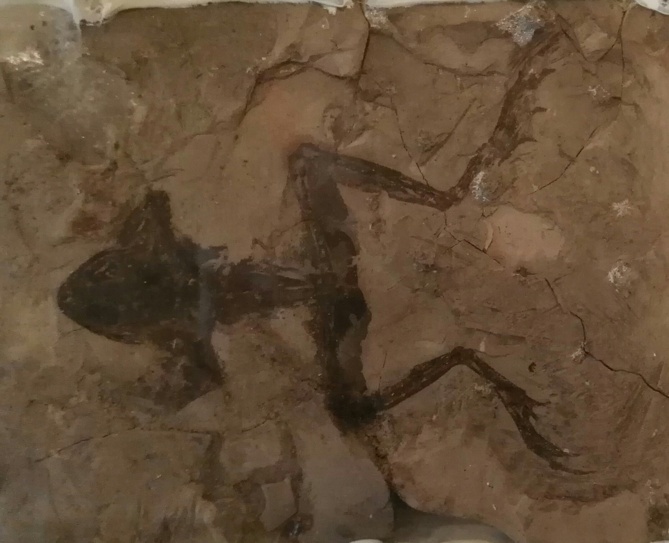 生命是什么最经典的回答,真正的生命是什么样的