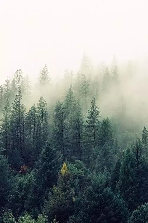 是风动亦是怦然心动,是风动亦是心动原声