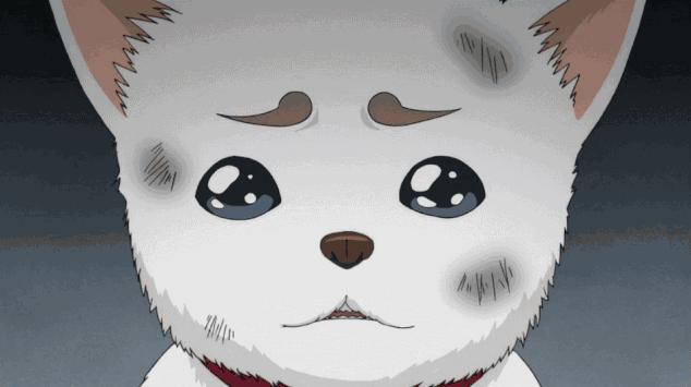 幼升小西安解读,西安幼升小最新学区划分励志小学