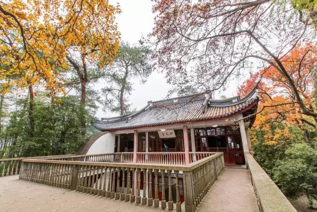 2018年浙江地方景点旅游日历大合集!含杭州,建德,温州,金华!