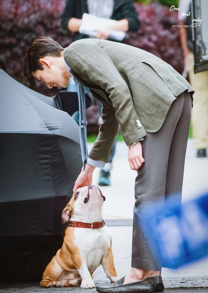 张翰新戏,张翰最近的新电视剧