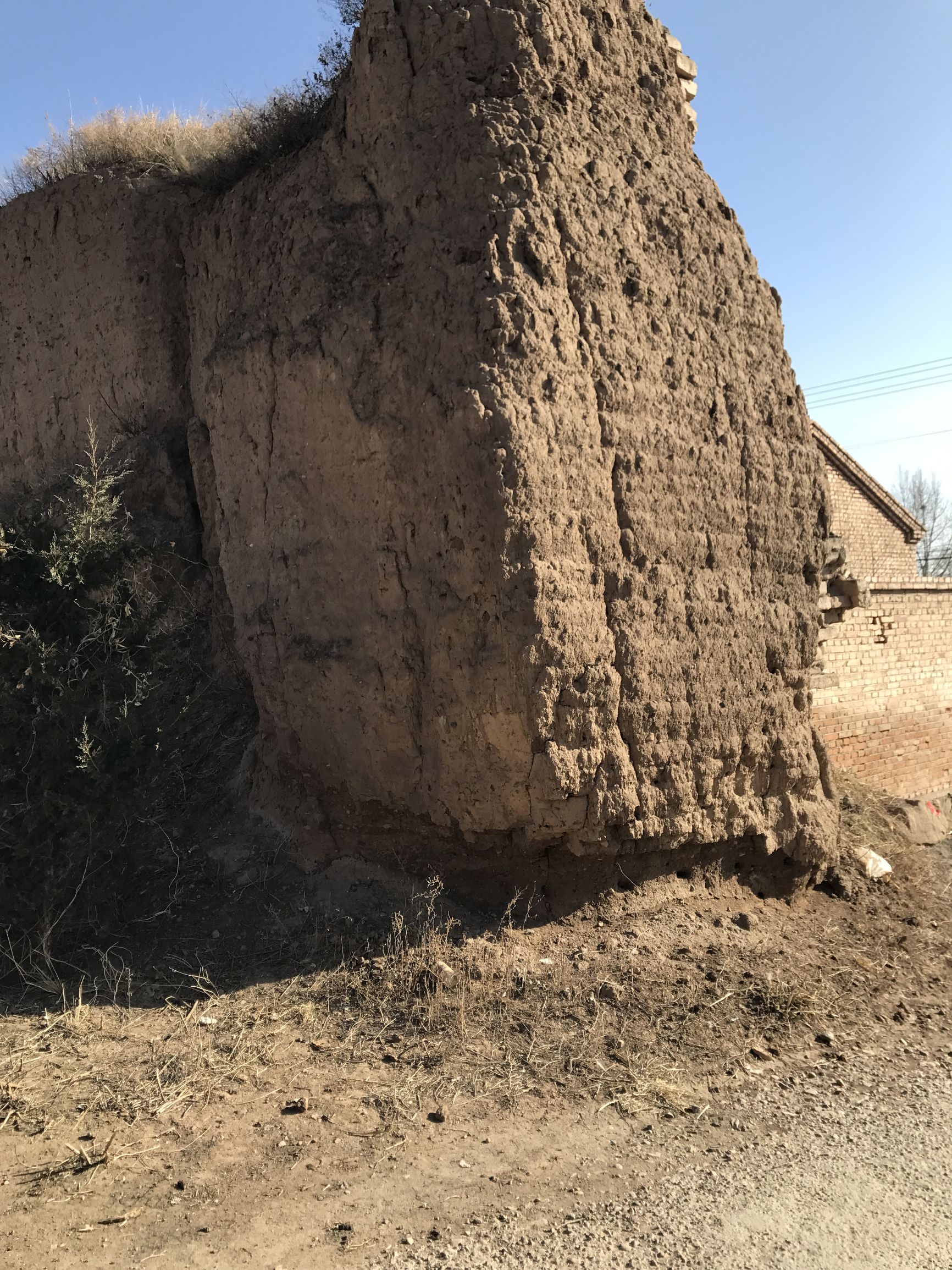 为什么万全管马肉叫腐肉呢