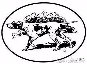 2017年西敏寺犬展时间表,西敏寺犬展北京犬