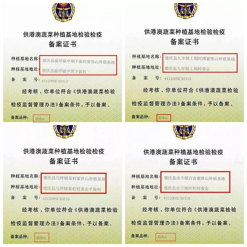 签下半亿大单！香港人买下1000吨肇庆这种食物！