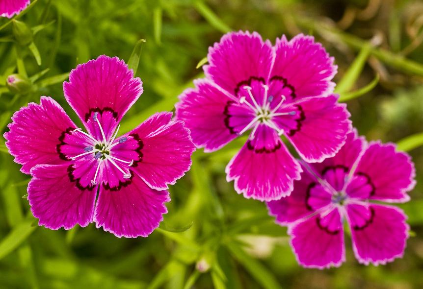 人生中的三大难关是什么,人生三大困境是指什么